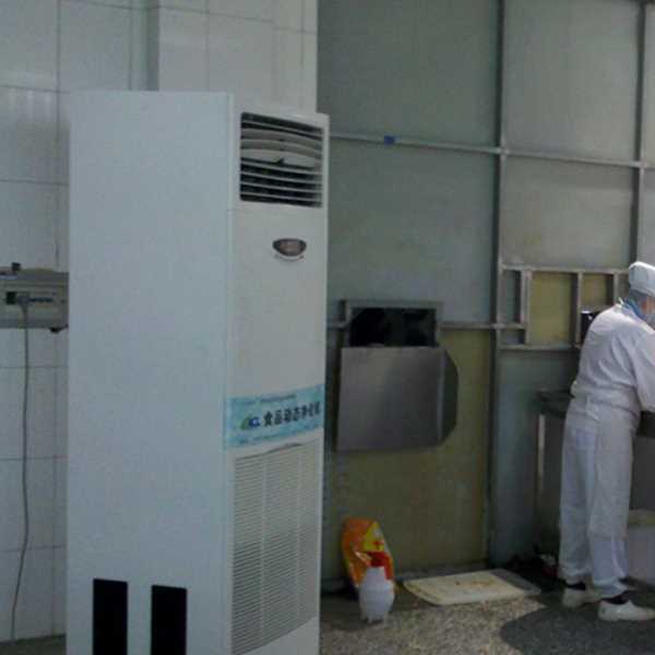 惠州食品正负离子空气杀菌器